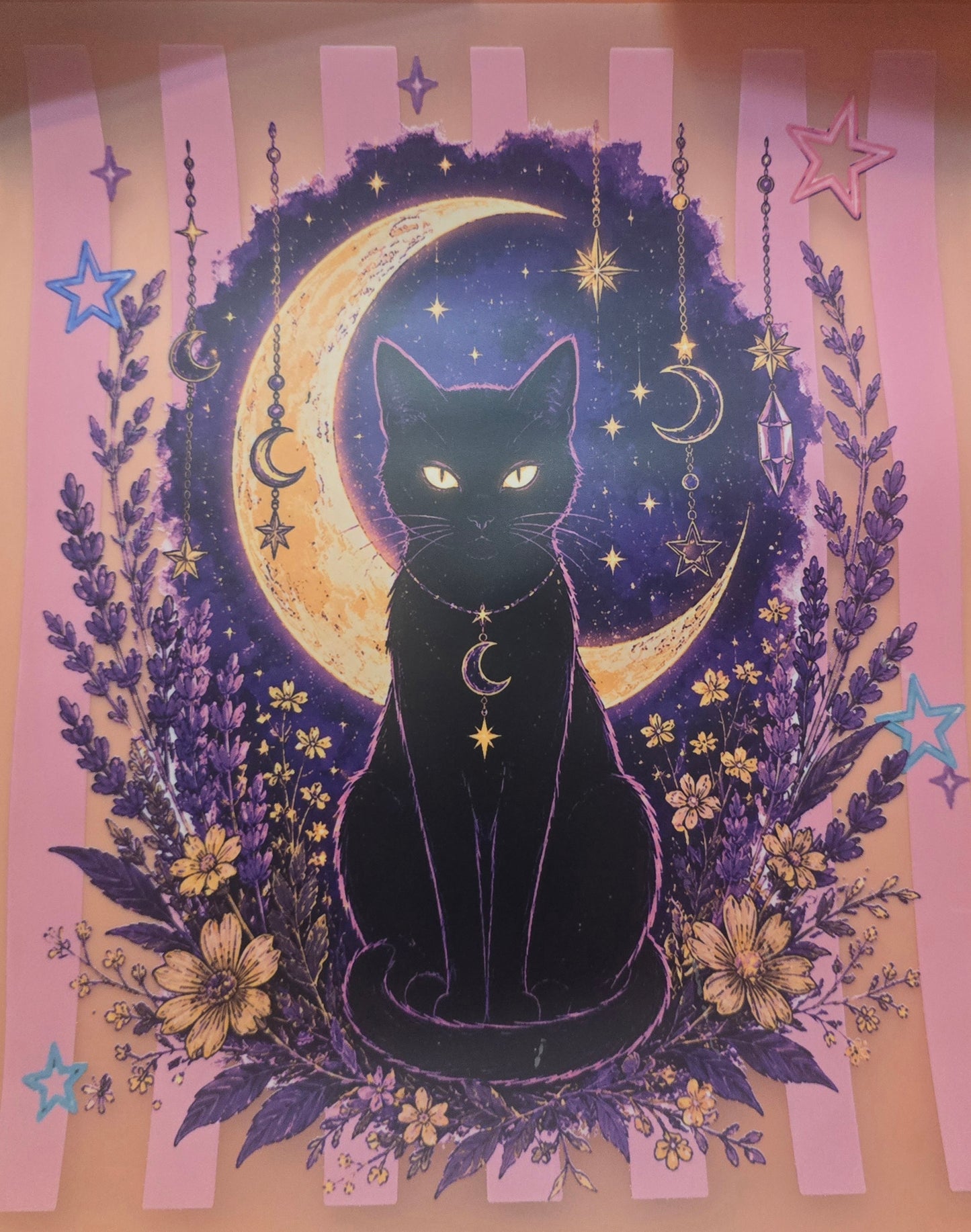 Black Cat Shirt Or Tote Bag Transfer