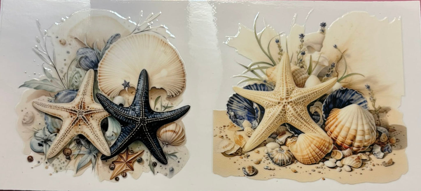Sea Shell #3 wrap