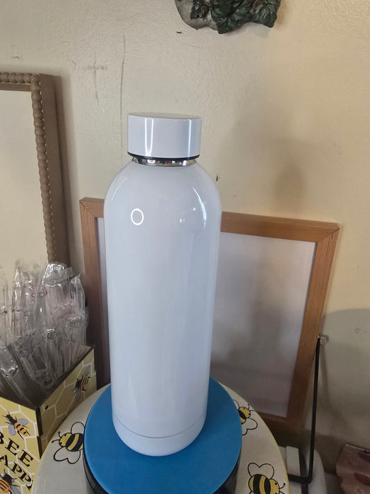 20oz Screw To Stainless Steel Waterbottle