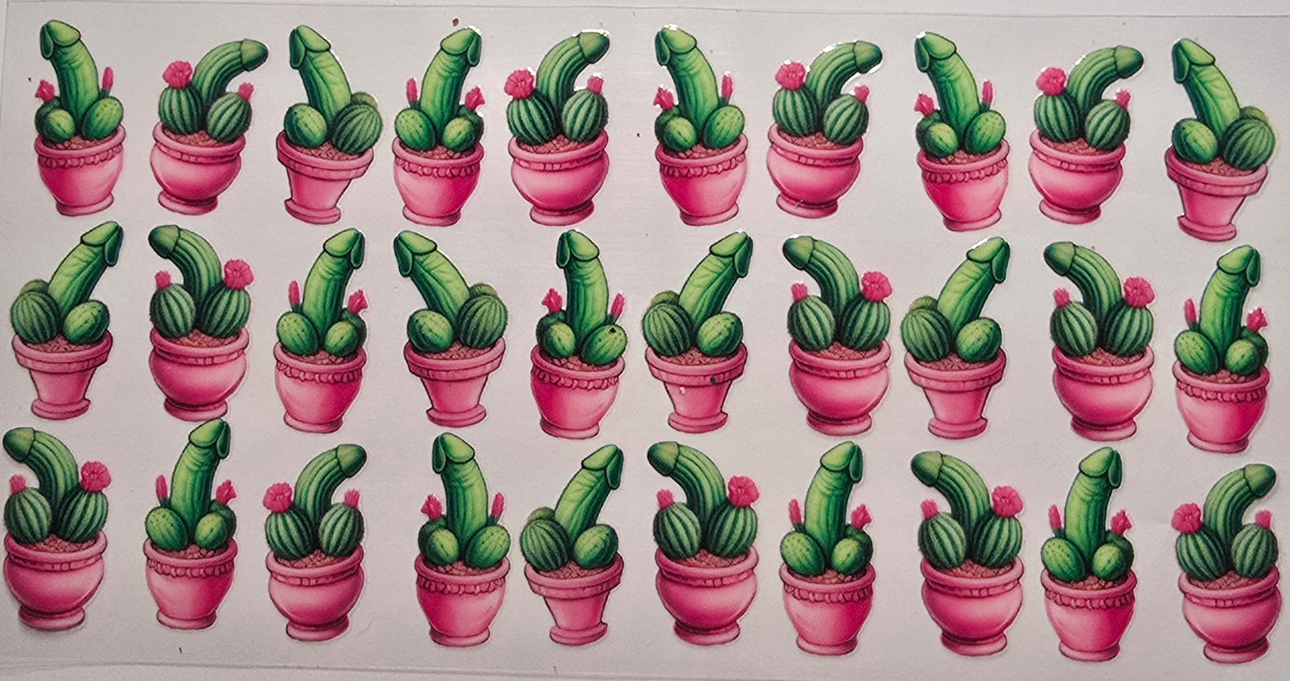 Catcus Richards