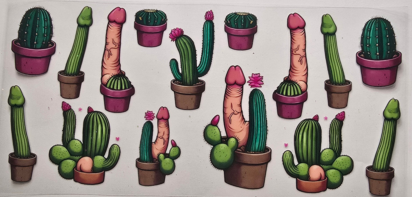 Richards and Catcus Richards