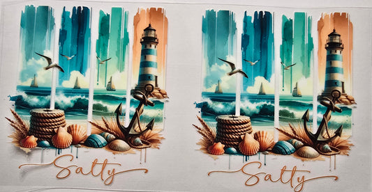 Salty Beach