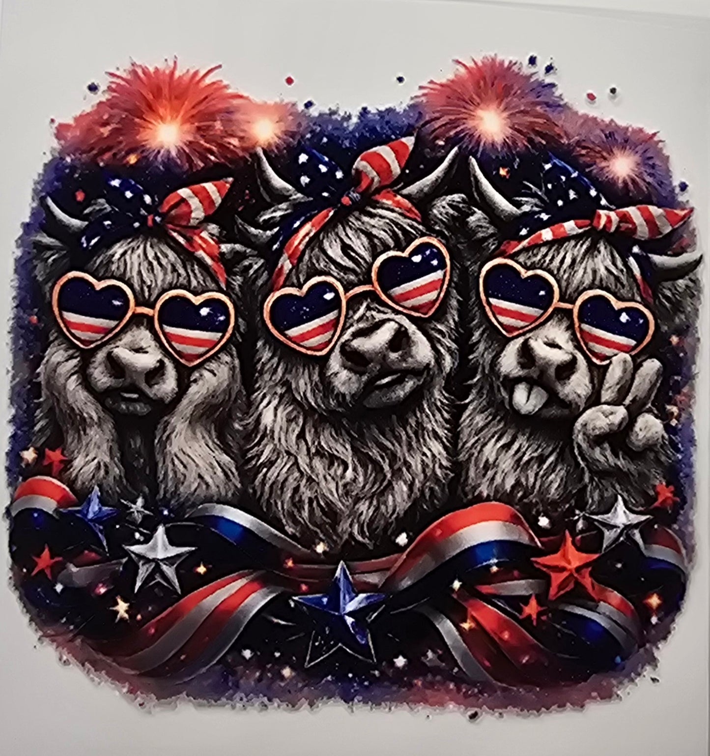 Independence Day  Highland Cow