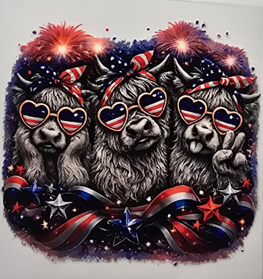 Independence Day  Highland Cow