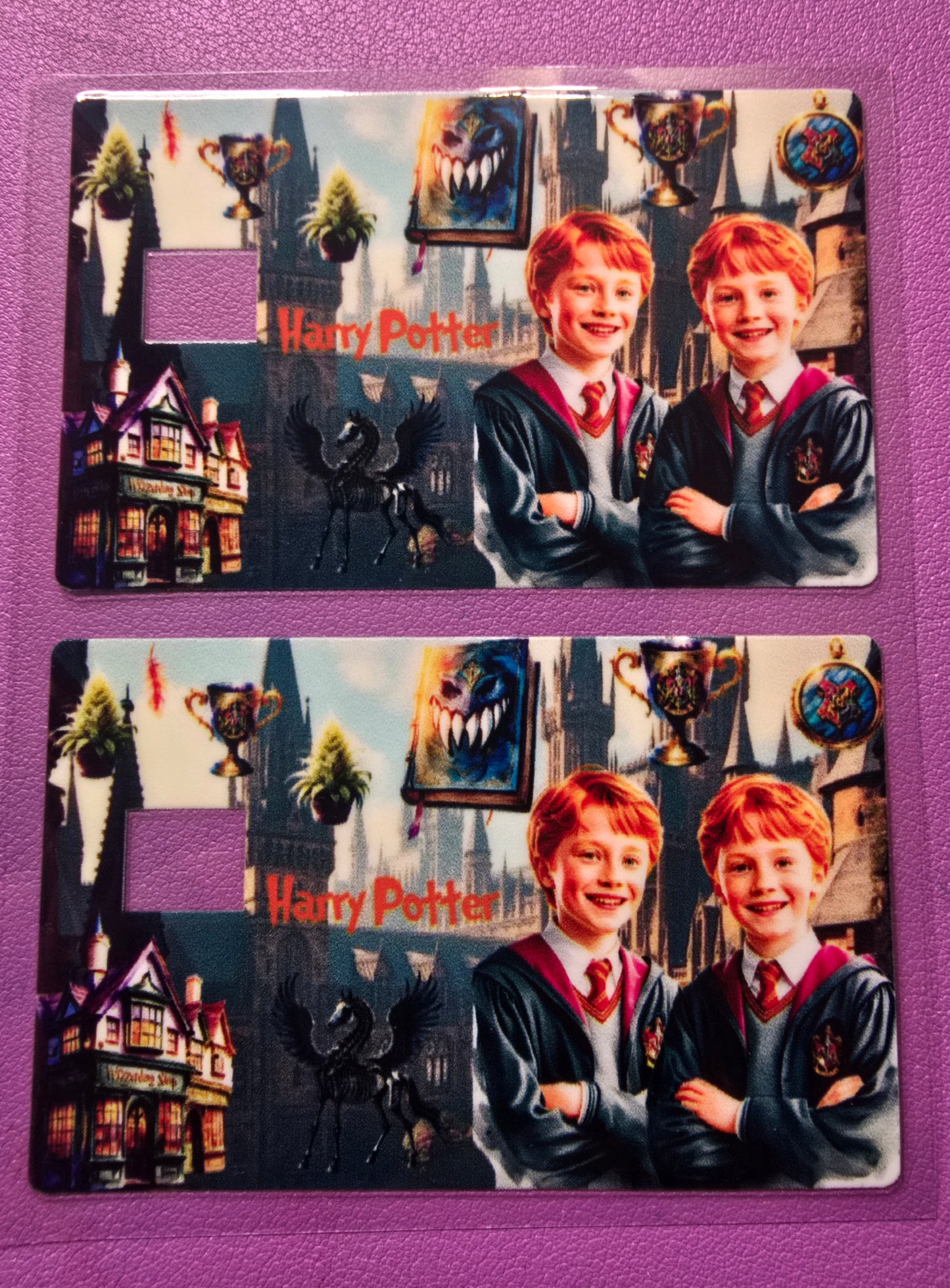 Harry Potter Credit Card Wrap