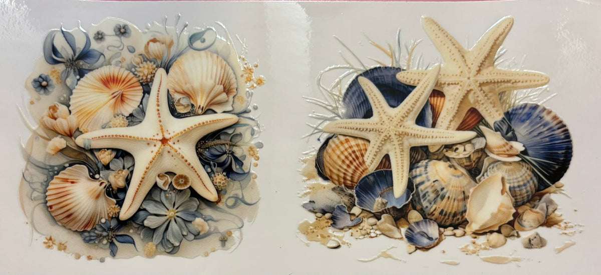 Bee Happy Shell Sea Shell #2 wrap β Bee Happy Honey Creations And Designs