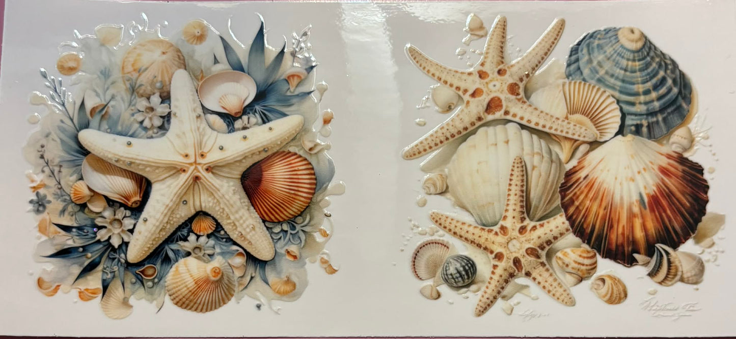 Sea Shell Beach Wrap