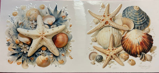 Sea Shell Beach Wrap