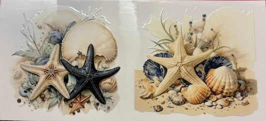 Sea Shell #3 wrap