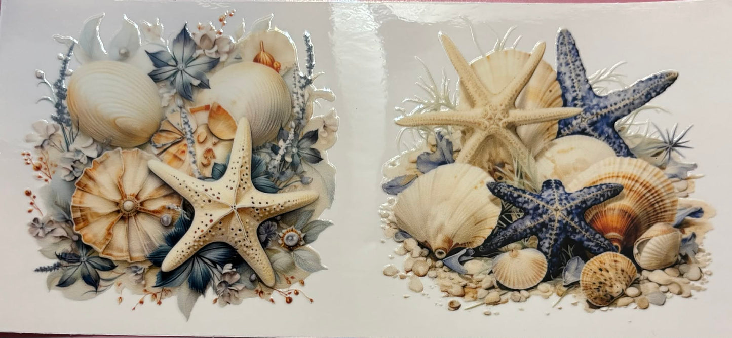 Sea Shell #4 wraps
