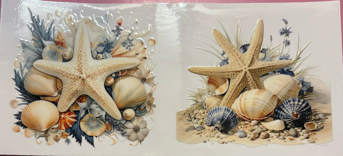 Sea Shell #5 Wrap