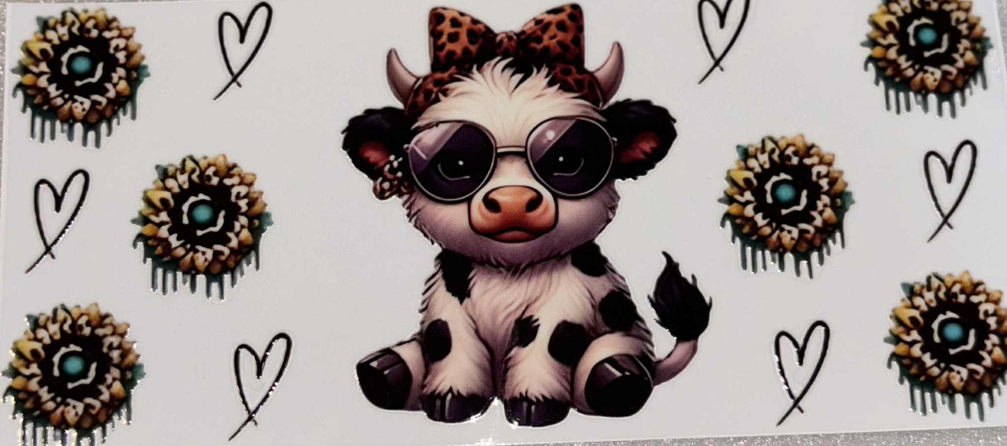 Cool baby highland