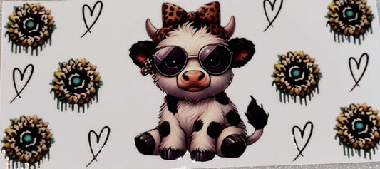 Cool baby highland